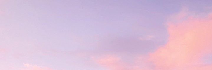 𝒈⁷ SAW PIED PIPER 🦅 banner