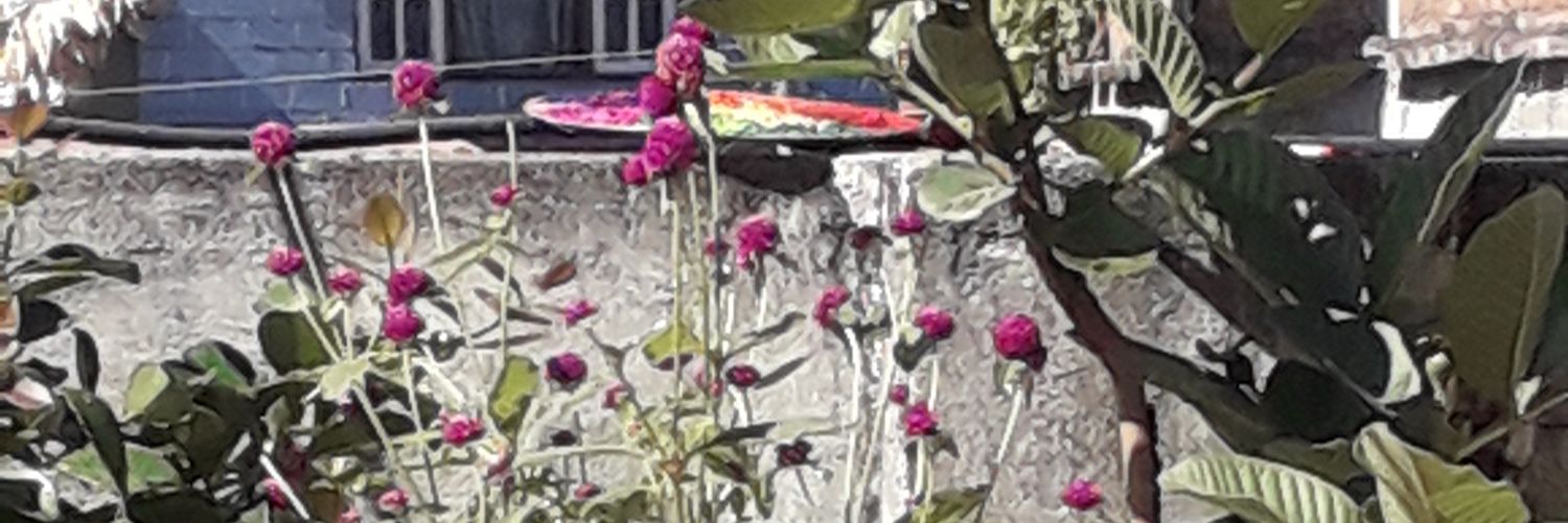 jayaramad2's profile banner image