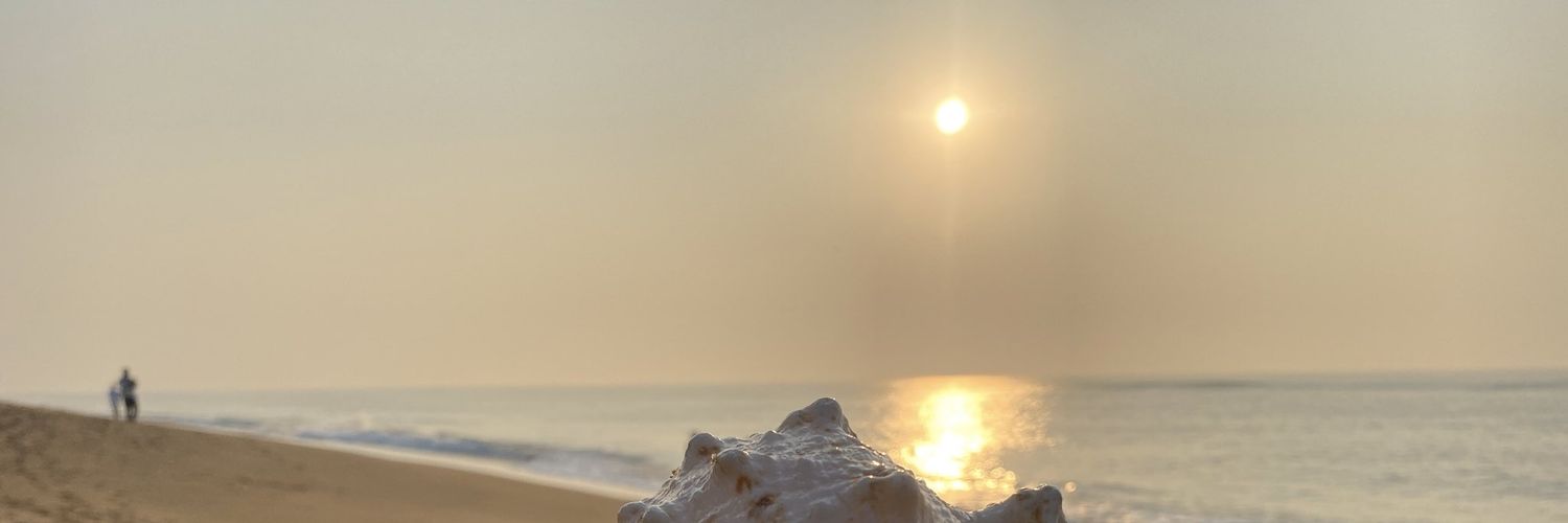 The_Nitish1's profile banner image