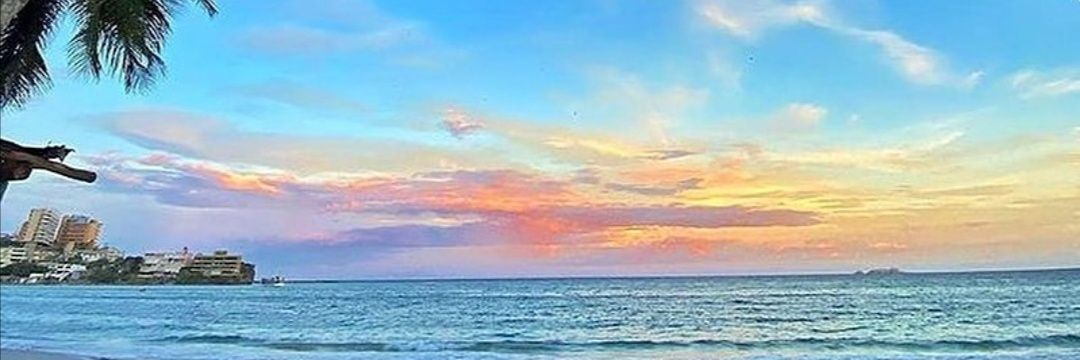 cheritonsilvia's profile banner image