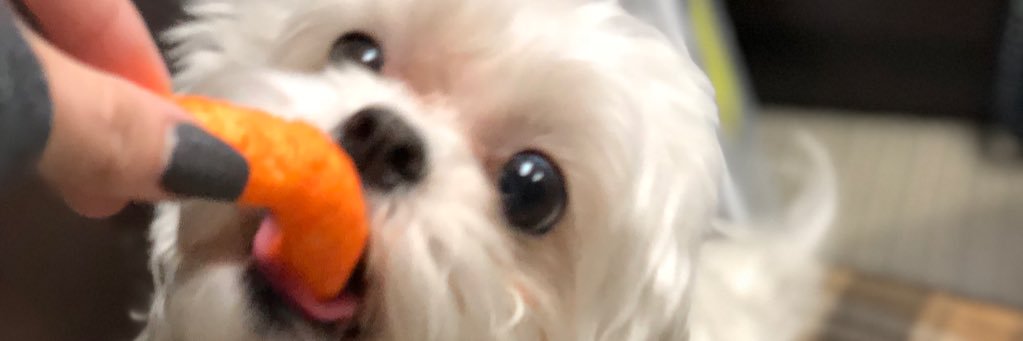 aliinicc's profile banner image