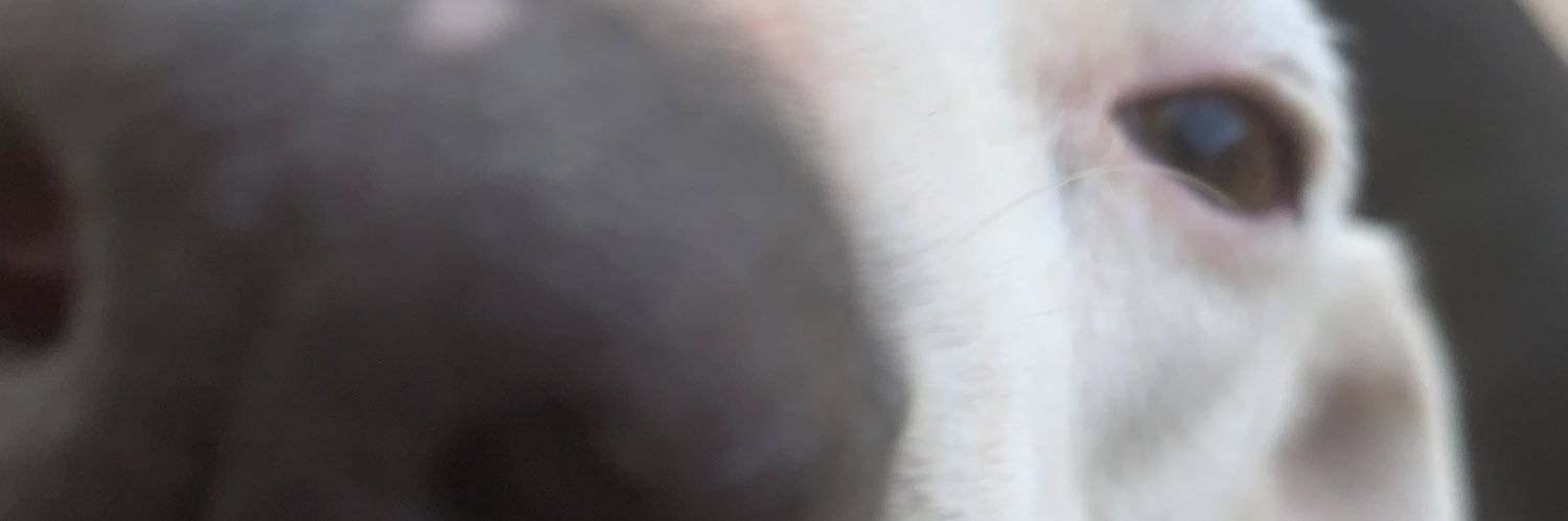 fatoescobedo's profile banner image