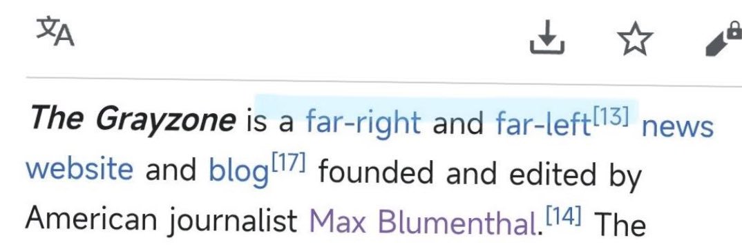 Max Blumenthal's banner