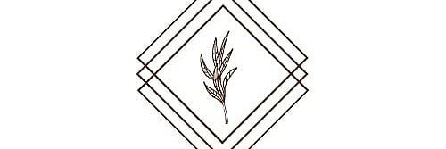 levitaputri_'s profile banner image
