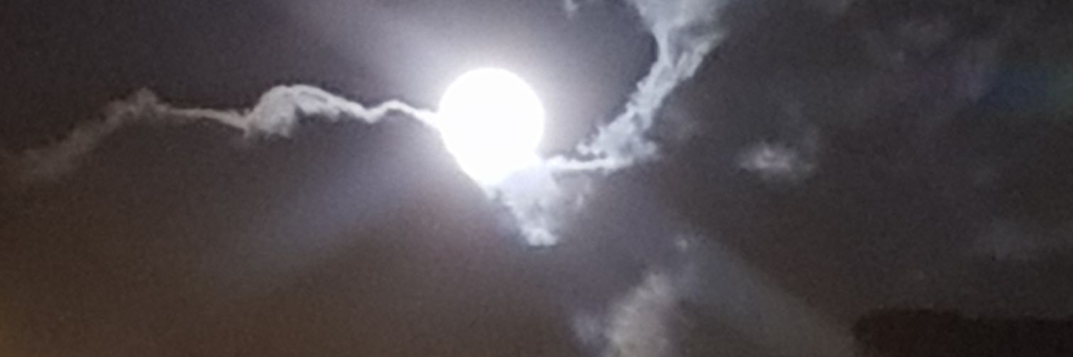 sergiohardlion's profile banner image
