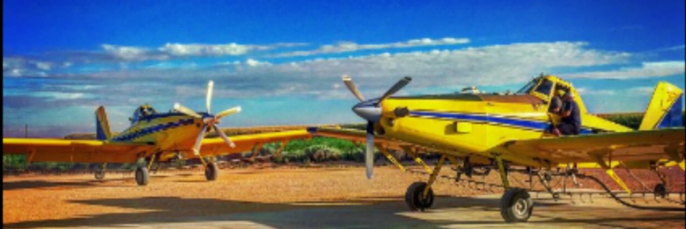 SteffanBusch8's profile banner image