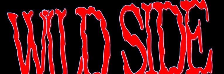checoislasmex's profile banner image