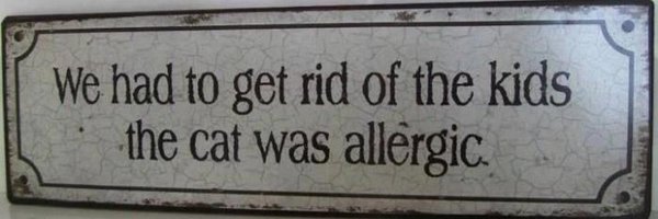 SteffenVR Profile Banner