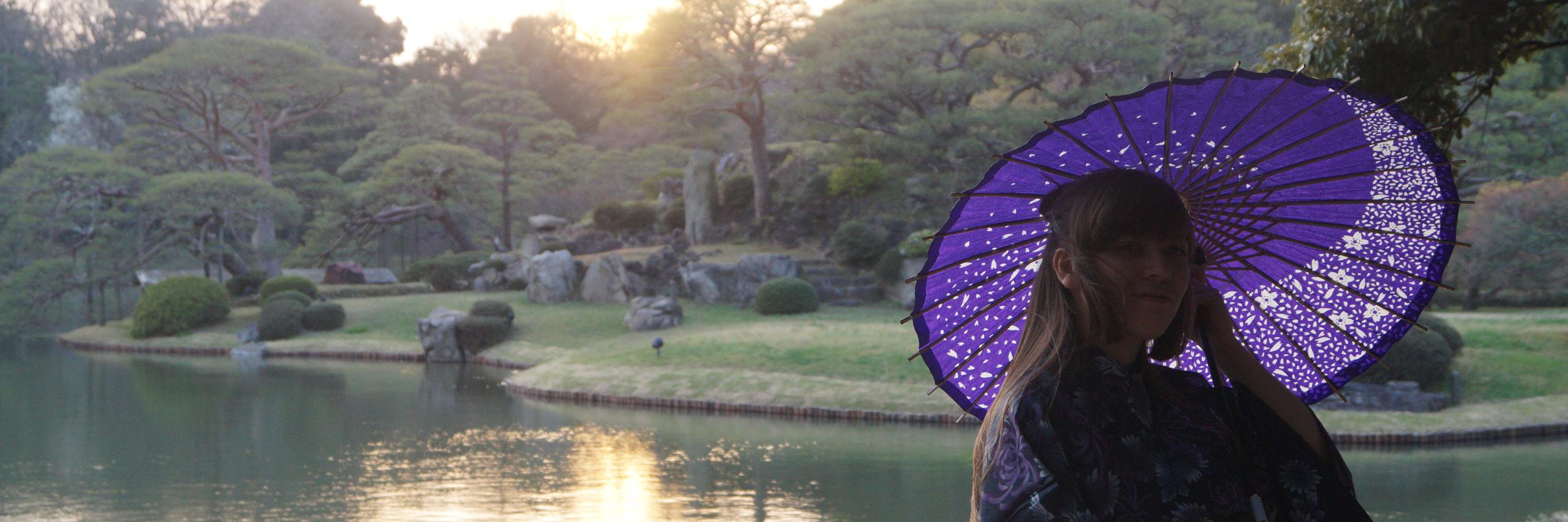 Lacie banner
