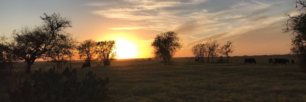 mkkober5's profile banner image