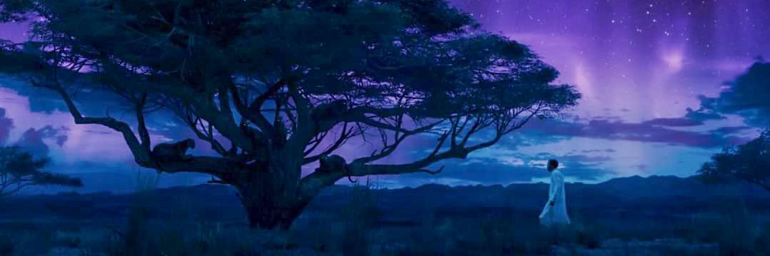 slickwickHou's profile banner image