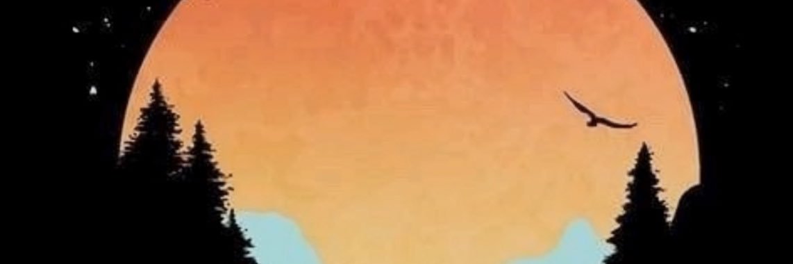 Harlieee's profile banner image