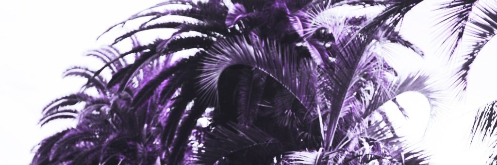 luvmjforever's profile banner image