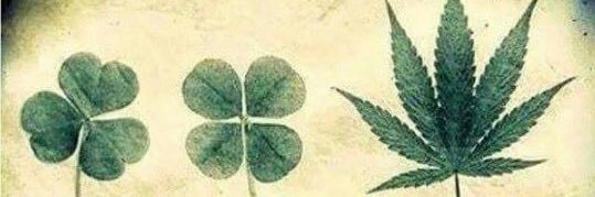 Cdutrizac's profile banner image