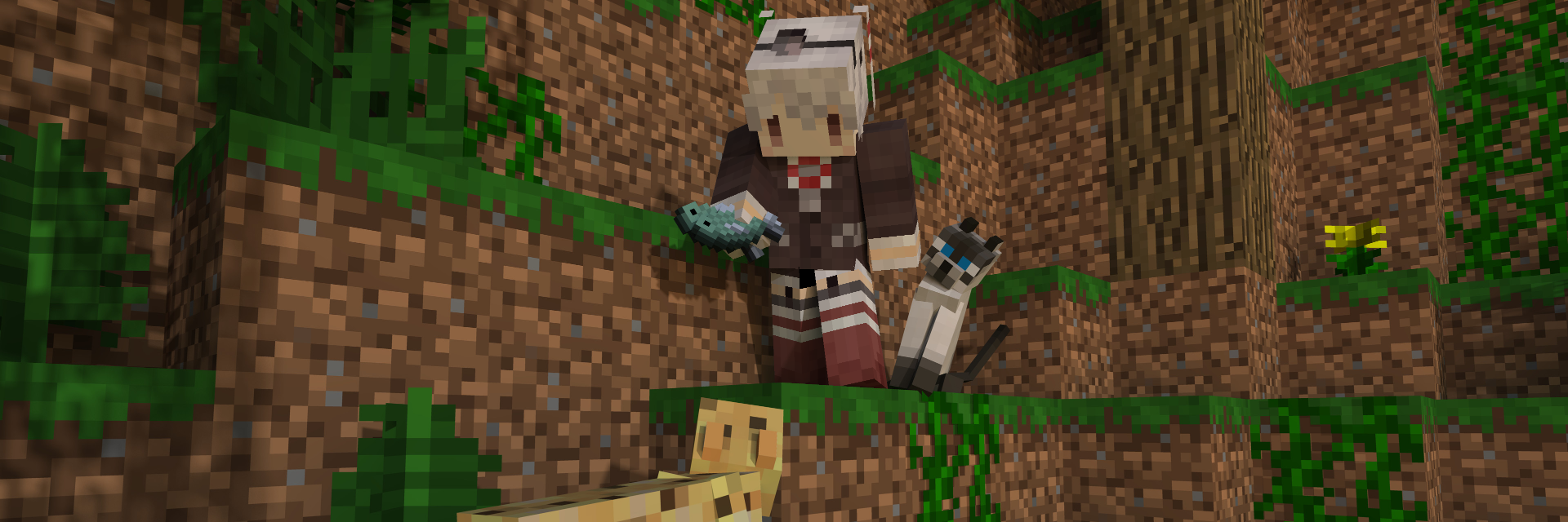 raineko810's profile banner image