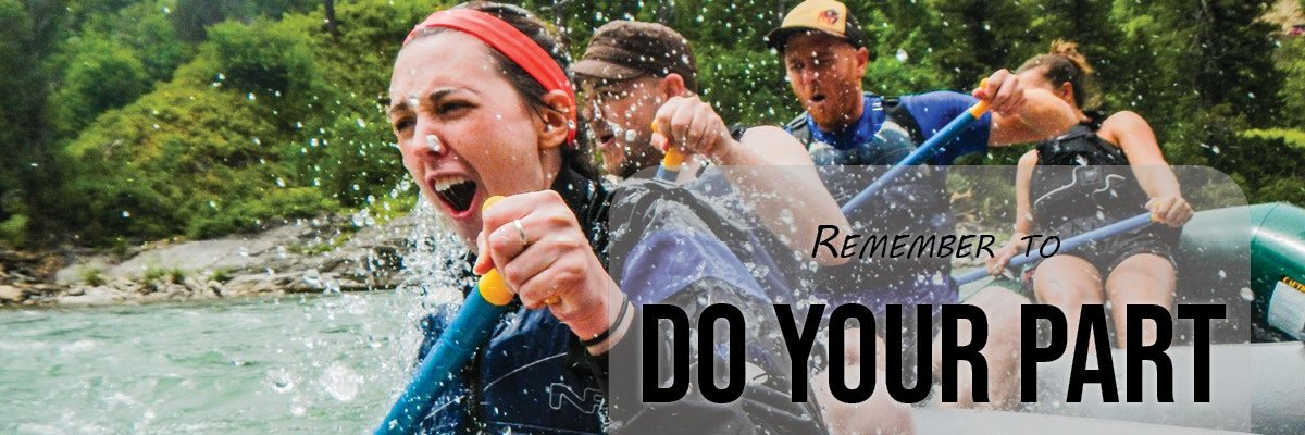 sequoiaforest's profile banner image
