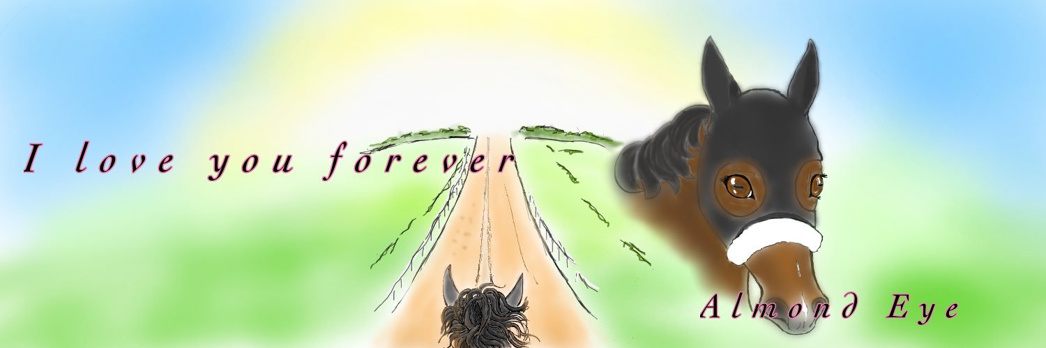 ぴのもる🐴 banner