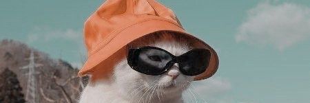 umalisamulher's profile banner image