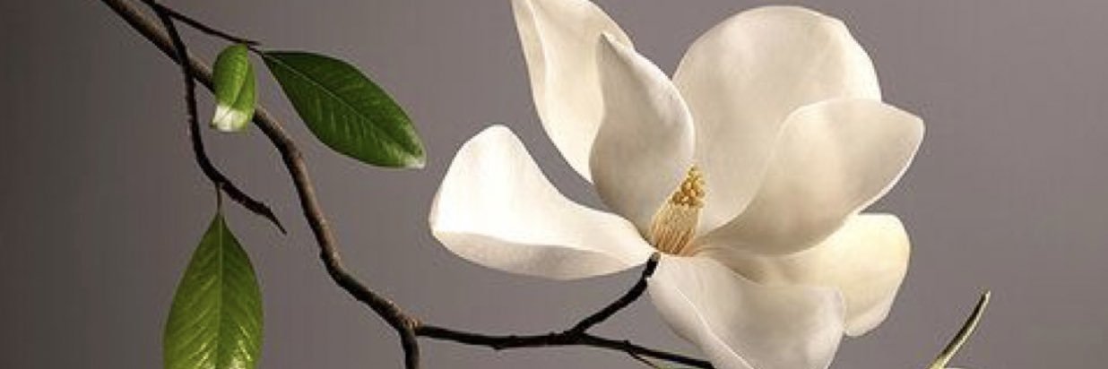 _ulan_'s profile banner image