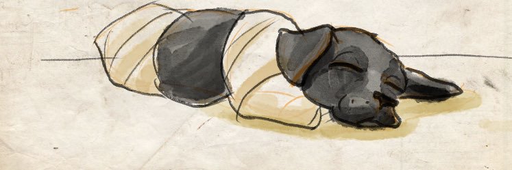 arikoen's profile banner image