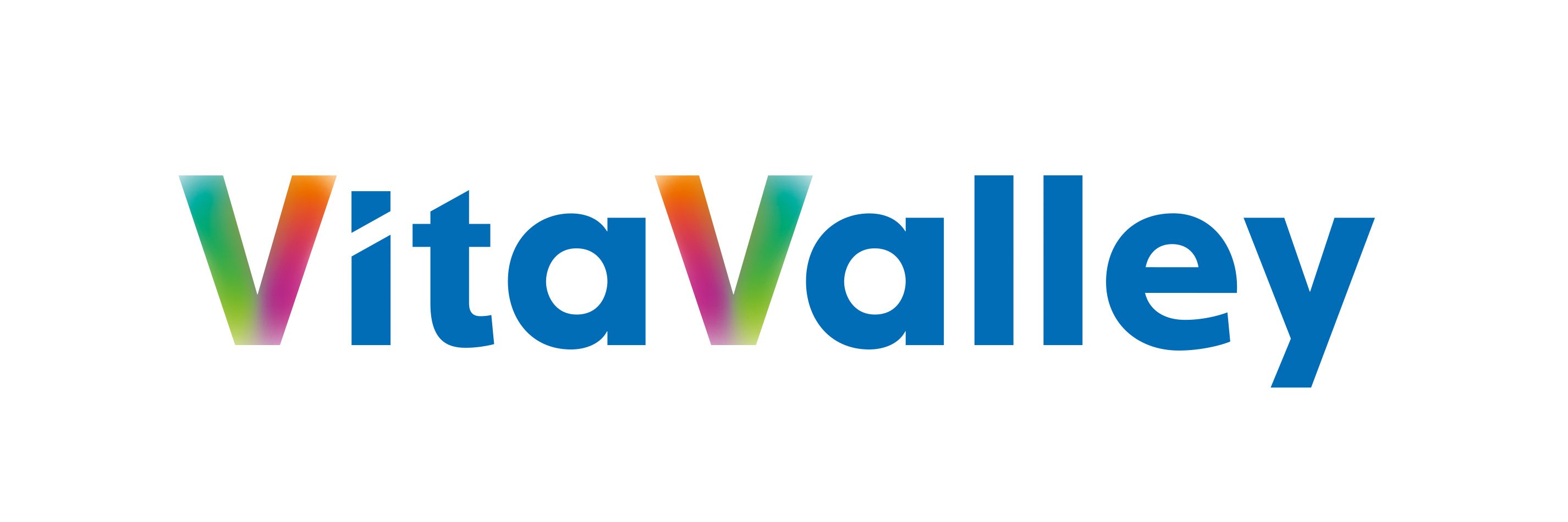 VitaValley's profile banner image