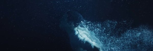 _augusttea Profile Banner