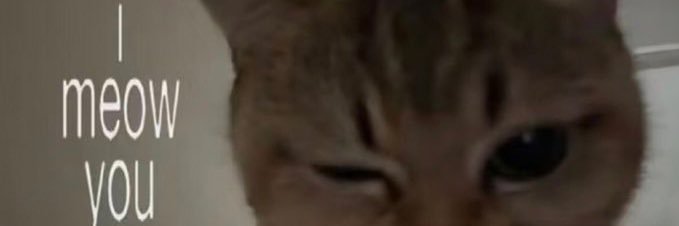mbbut's profile banner image