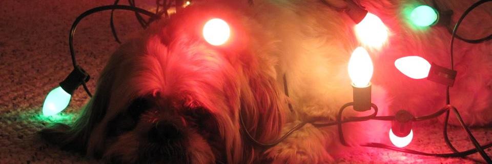 Punished Sweeps banner