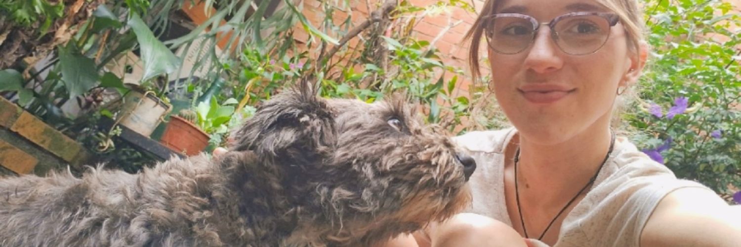 ChiaStrieder's profile banner image