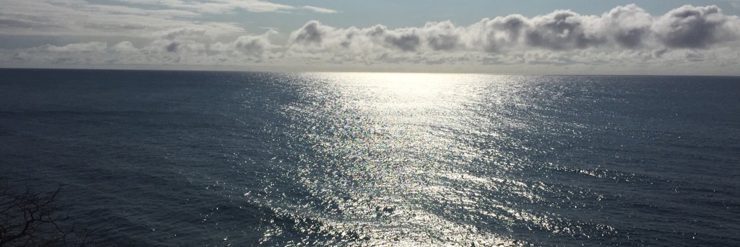LisaFreiburg's profile banner image
