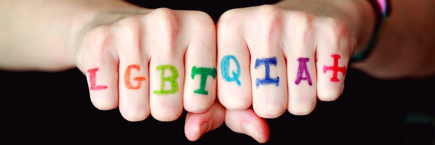 Diane Hansen🖤🤎❤️🧡💛💚💙💜 banner