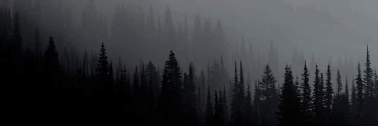 mieayambasowngr banner