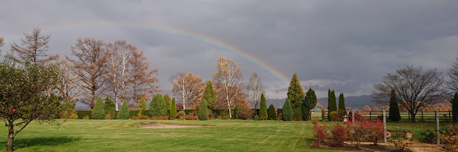 渡り鳥(とり。) banner