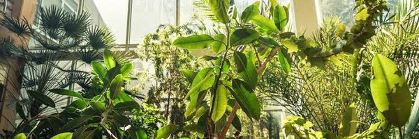 malecsmarvel Profile Banner