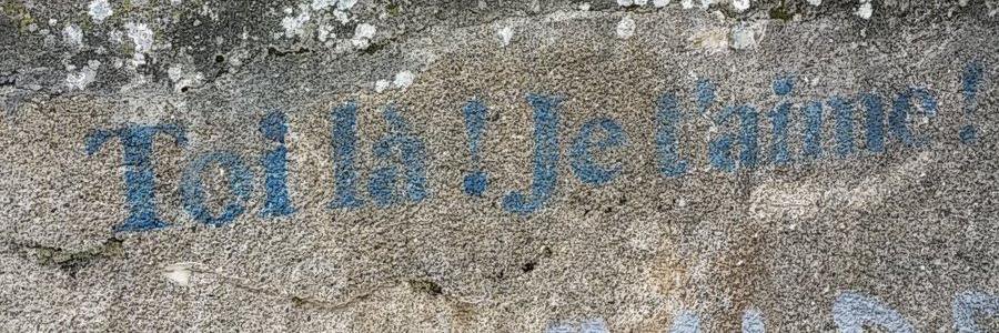 Pierre Allée banner