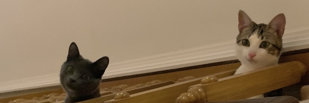 MariaFortu_'s profile banner image