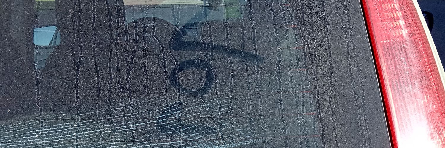bigdisastertabi's profile banner image