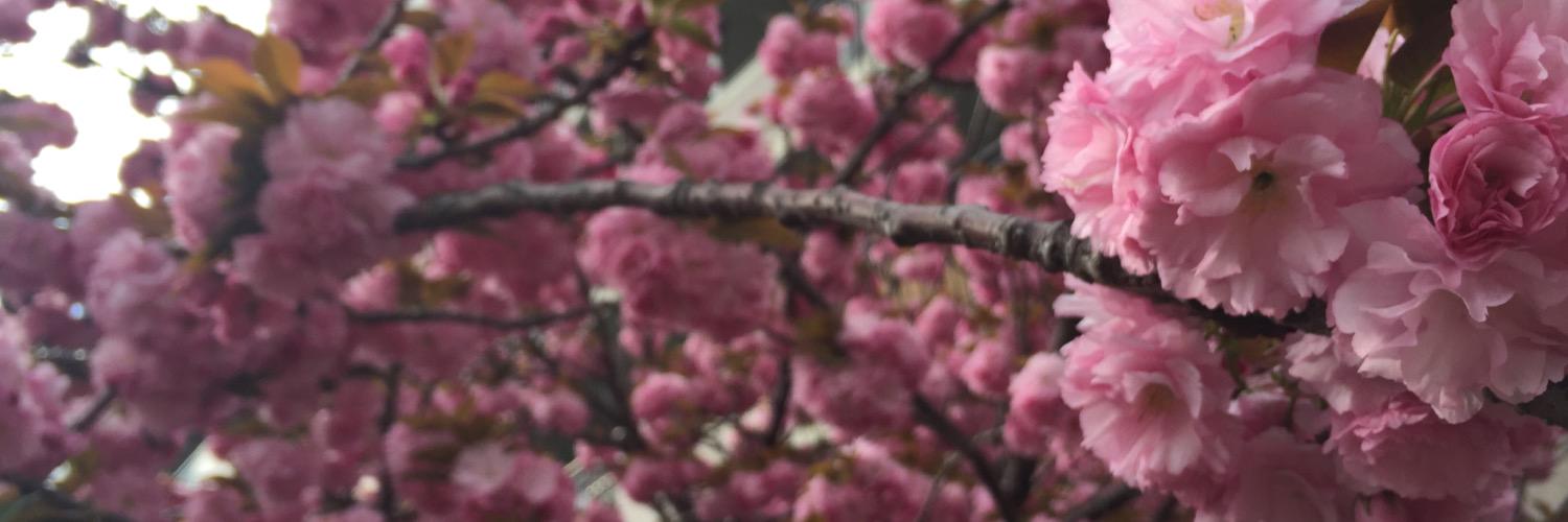 b_fig's profile banner image