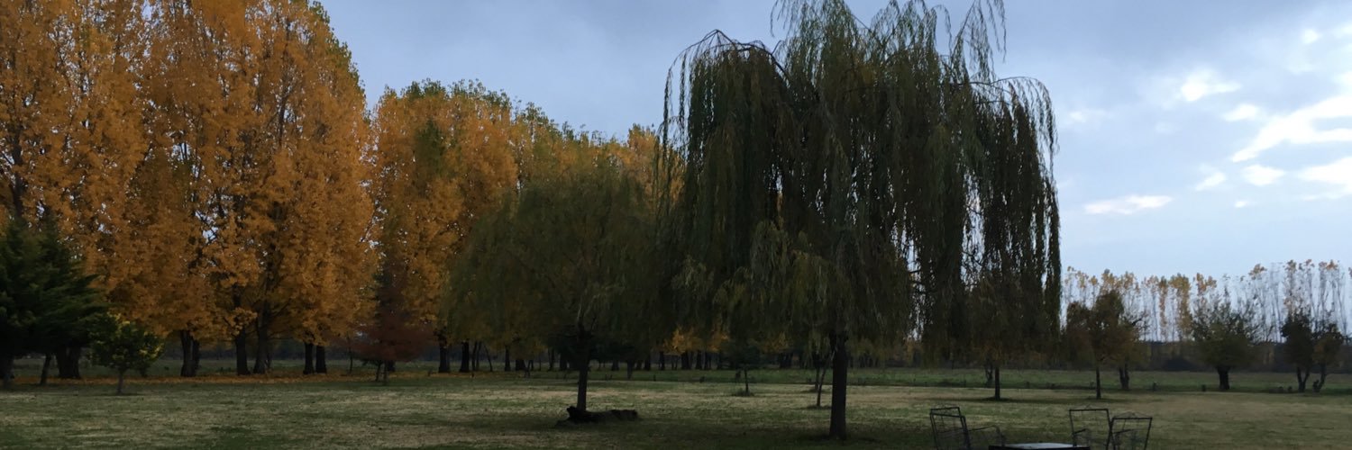 pvillaran's profile banner image