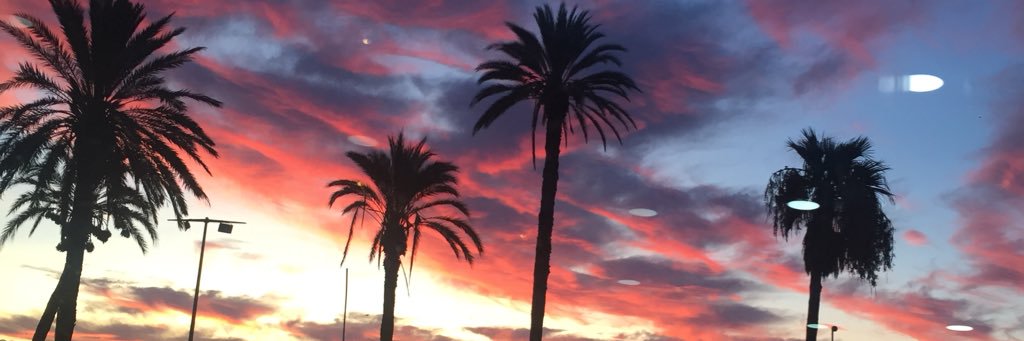 PariaFaezi's profile banner image