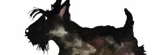 Z-dog banner
