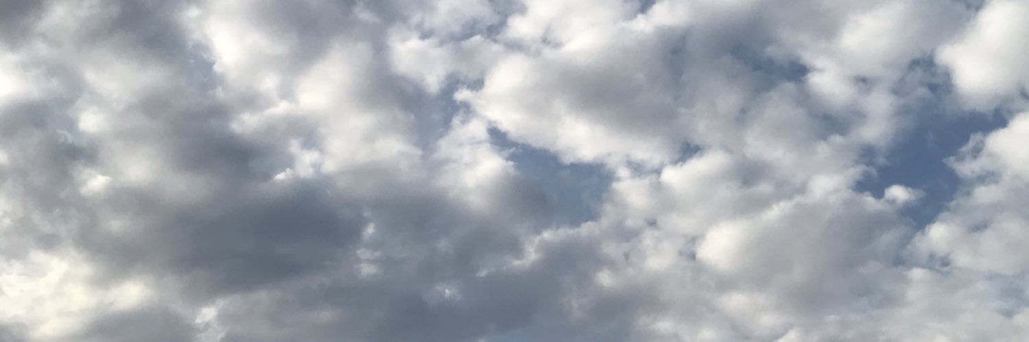 mill_yu's profile banner image
