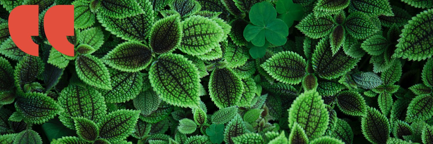 Wildscreen Network banner