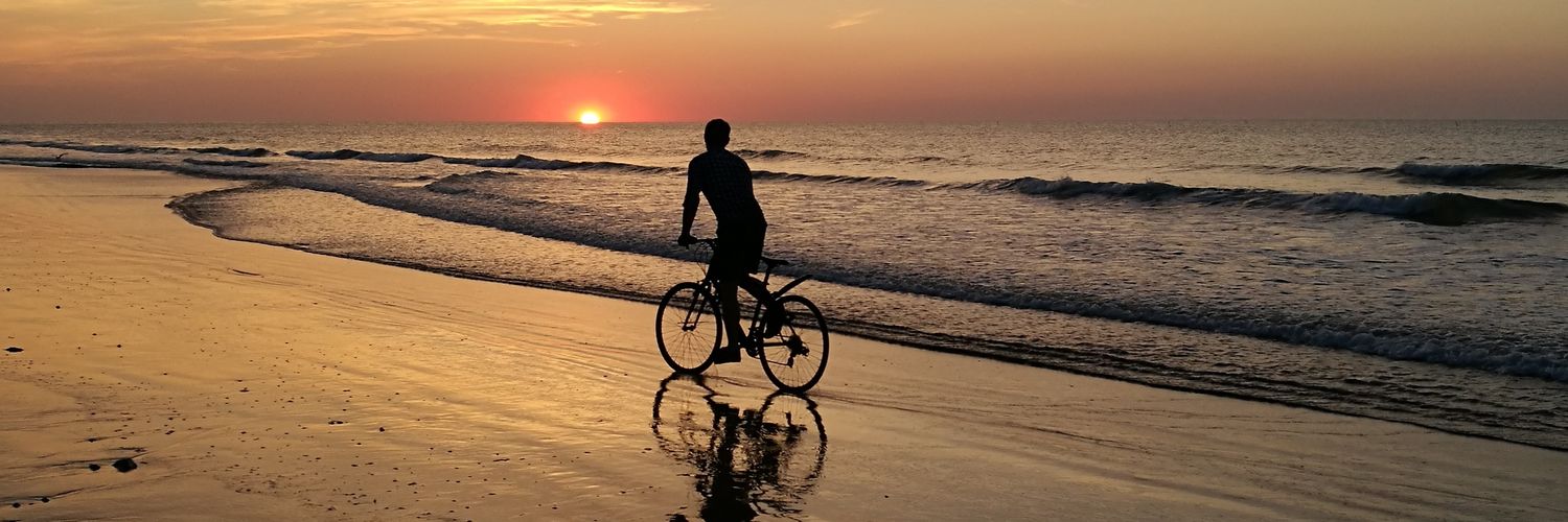 Shanghai Canary banner
