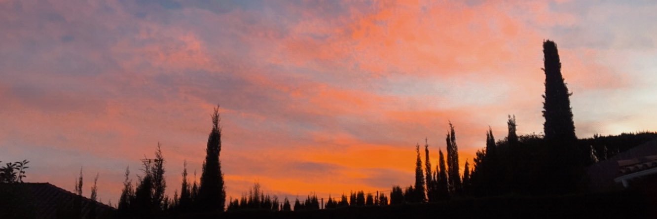 elenagarcar's profile banner image