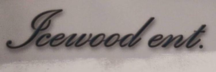 LadyBladeT313's profile banner image