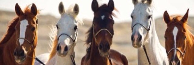 nos_111's profile banner image