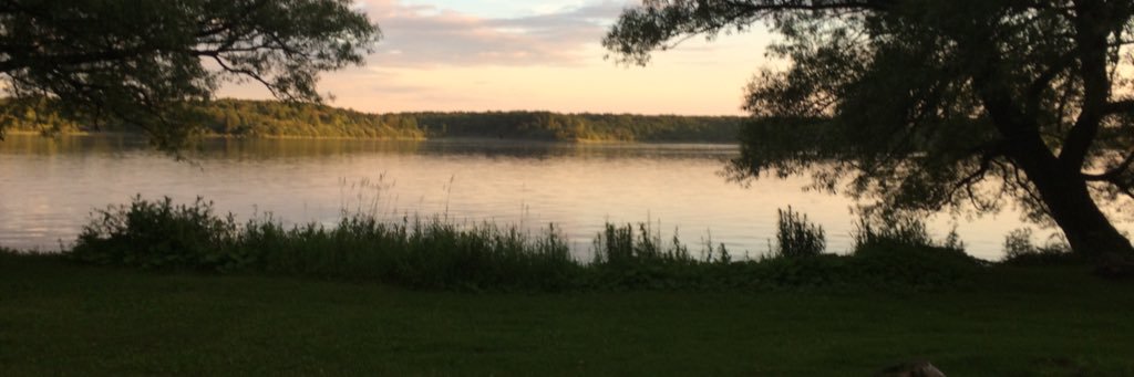 nymphoart's profile banner image