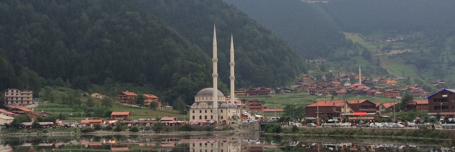 هيا الموسى banner