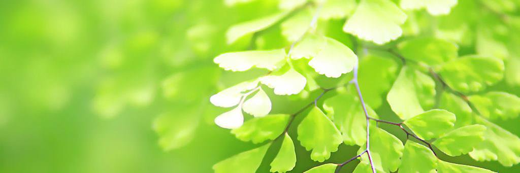 atsuko13tk's profile banner image